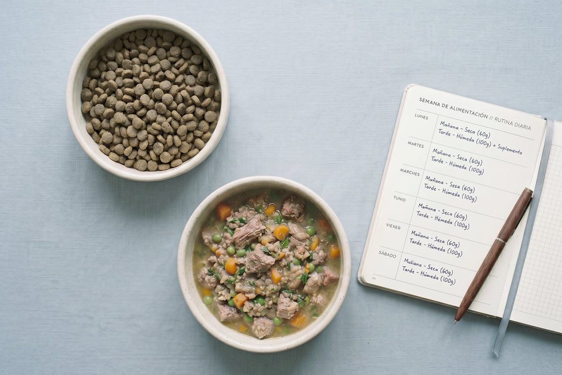Diferentes ingredientes frescos organizados para preparar menú semanal de perro