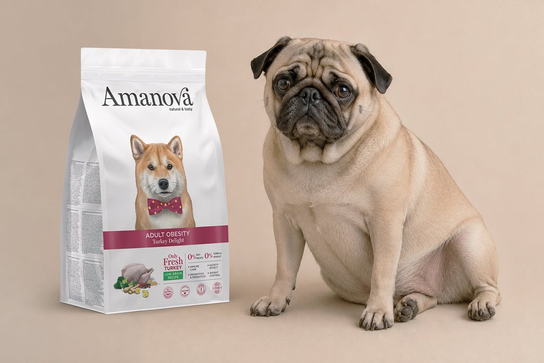 Pienso light bajo en calorías para perros con sobrepeso