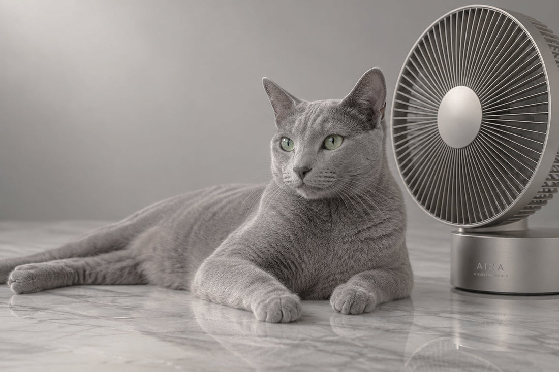 Gato gris de ojos verdes tumbado sobre mármol junto a un ventilador de mesa