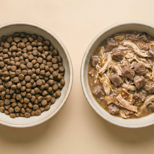 Alimentación seca con carne fresca vs. comida húmeda: ¿qué es mejor?
