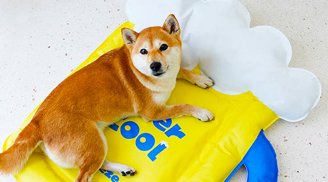 Camas refrescantes para perros: ¿Cómo escoger la ideal?