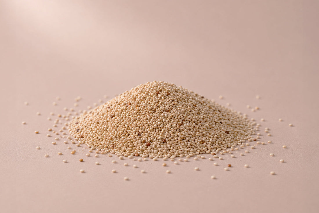Cuenco de comida para perros con quinoa y otros ingredientes nutritivos