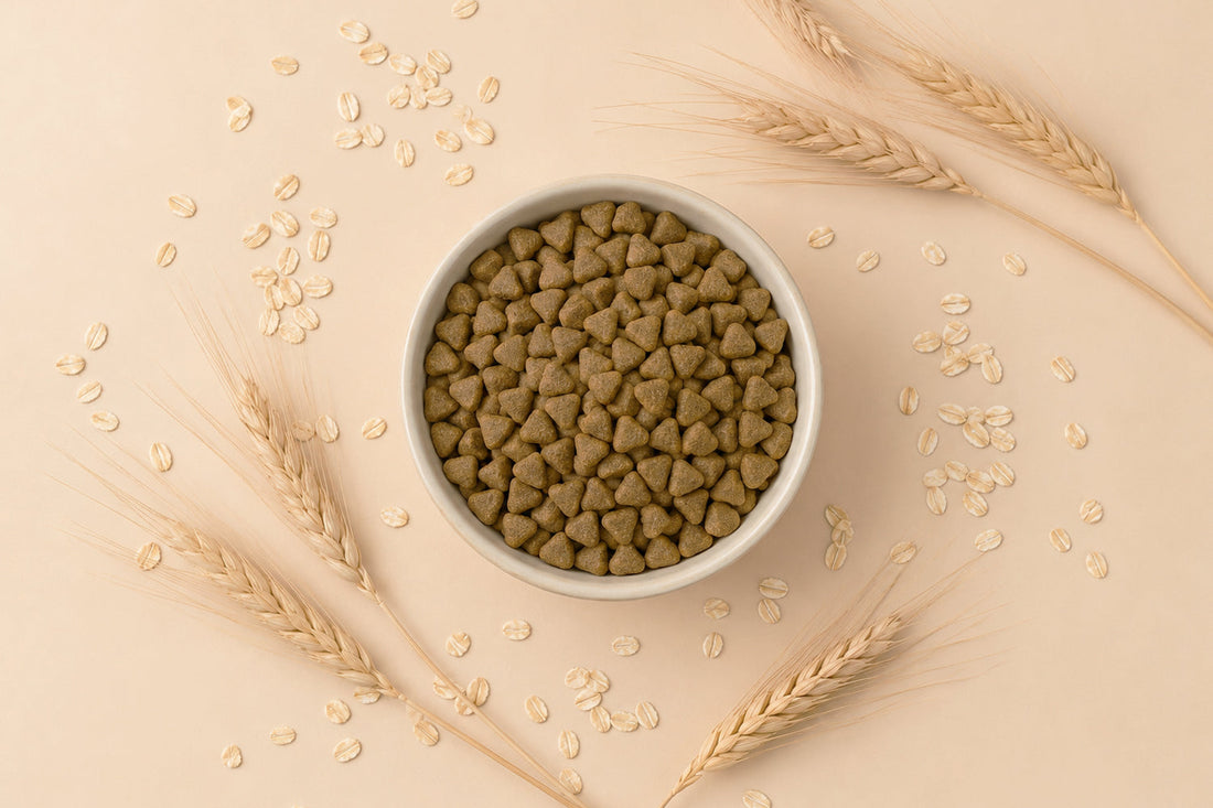 Bolsa de pienso para gatos sin cereales con ingredientes naturales visibles