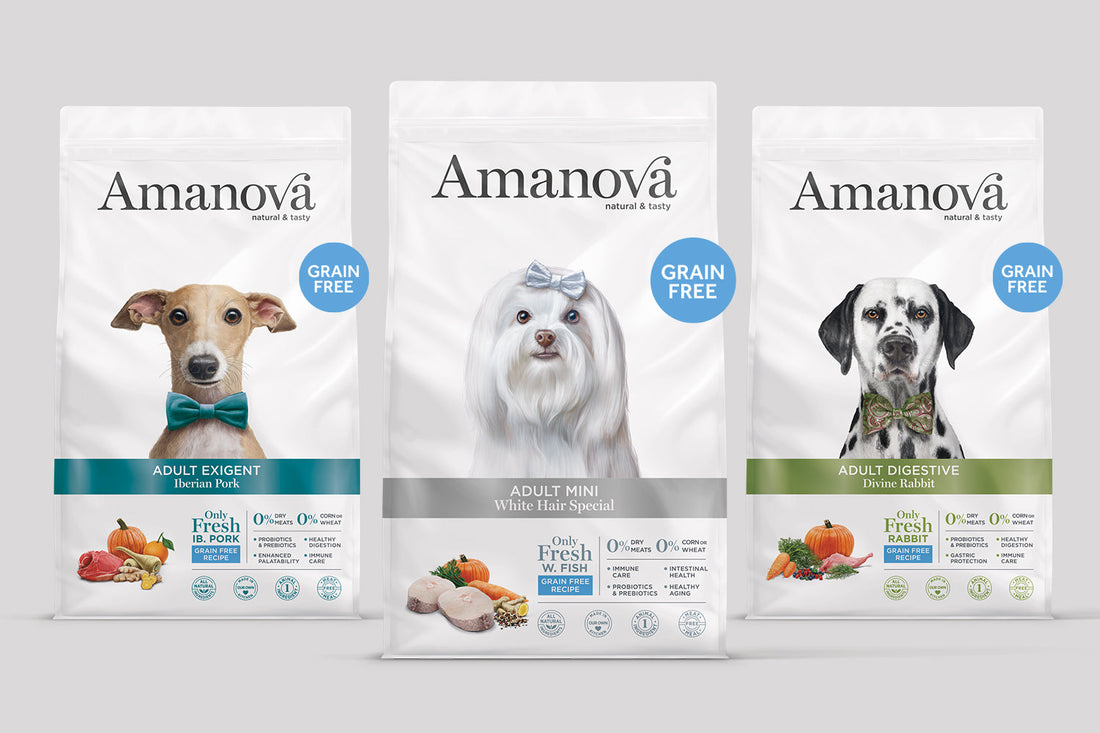 Pienso digestivo para perros con problemas intestinales