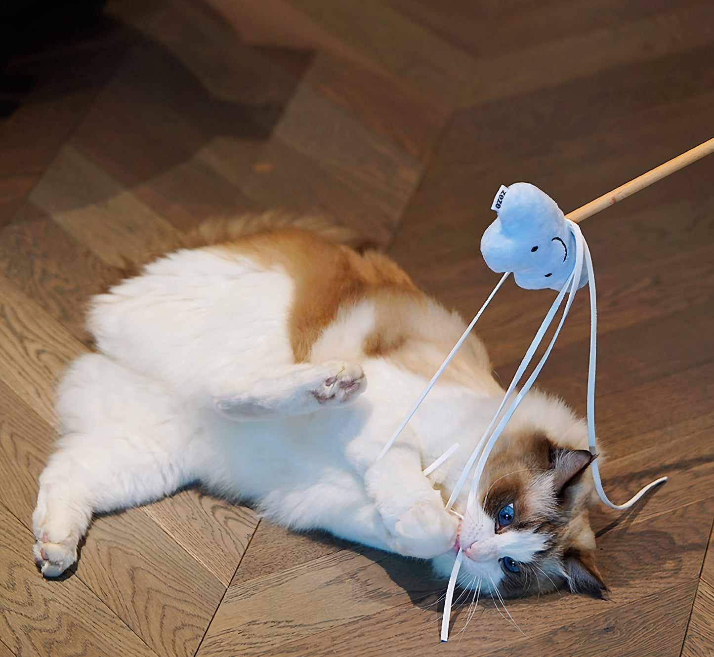 Dream Wand