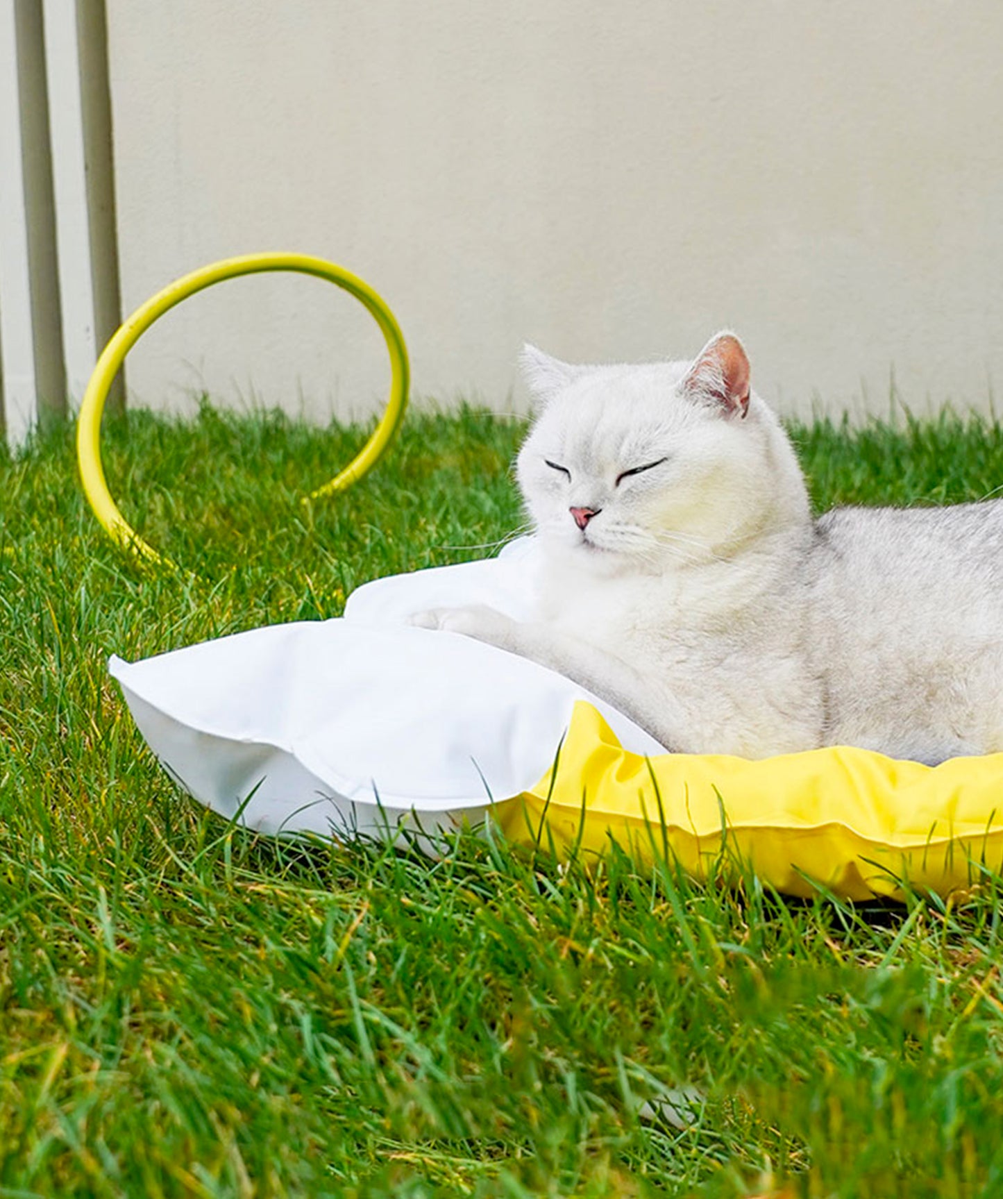 Beer Cooling Mat