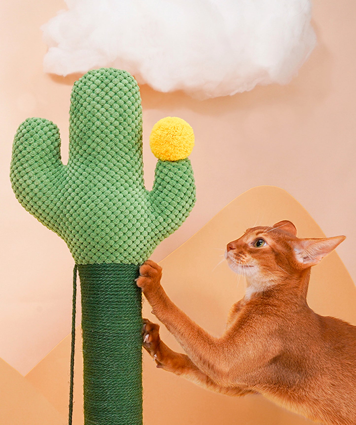 Cactus Cat