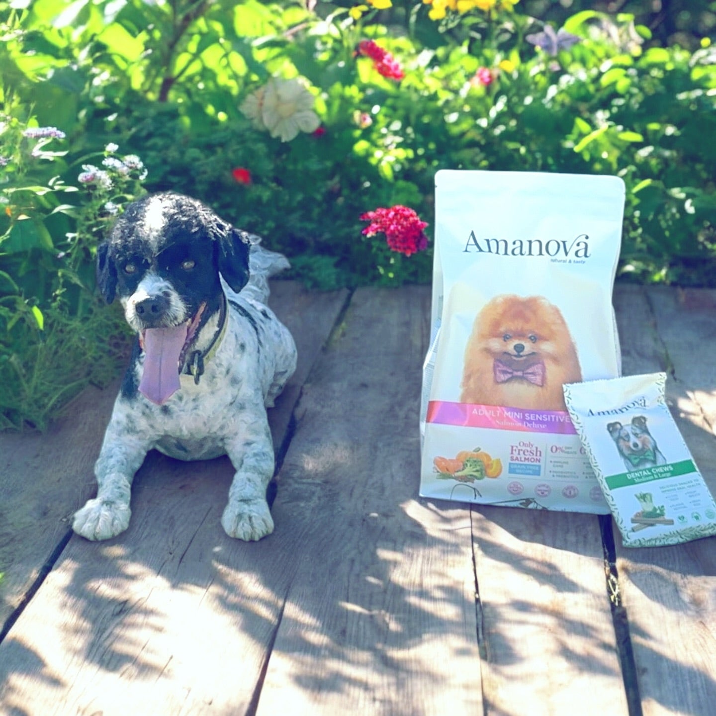 image-key-point-item