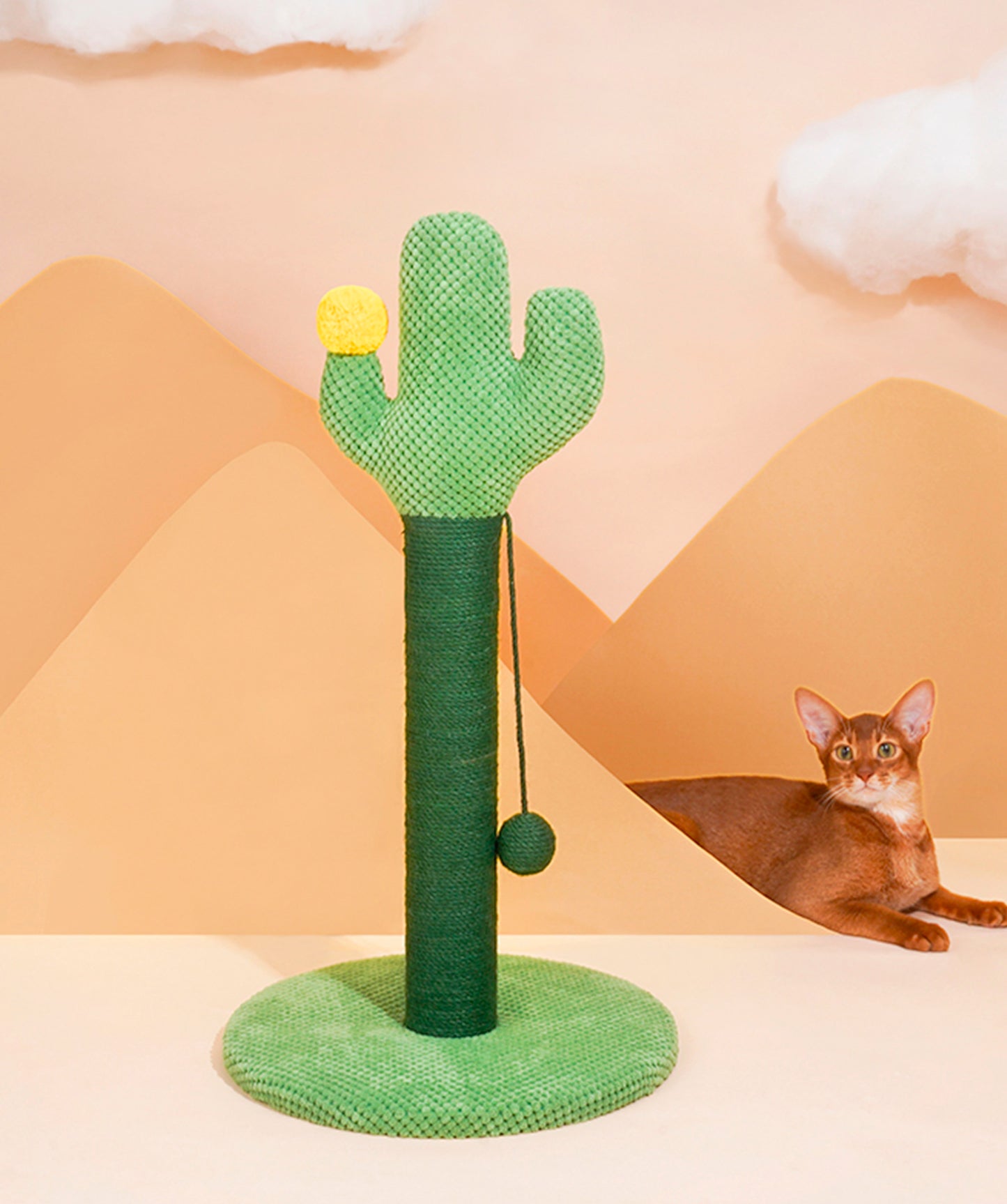 Cactus Cat