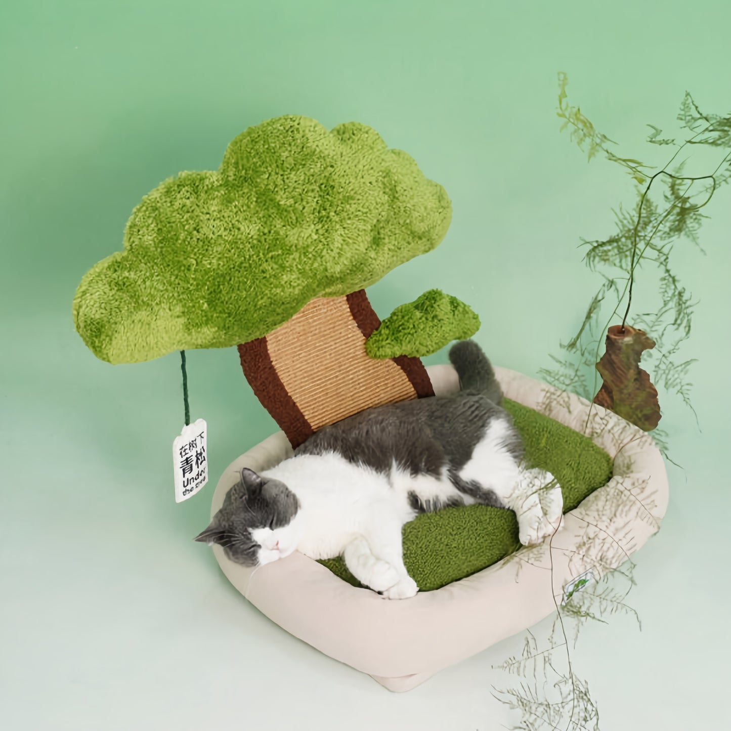 Green Lucky Tree