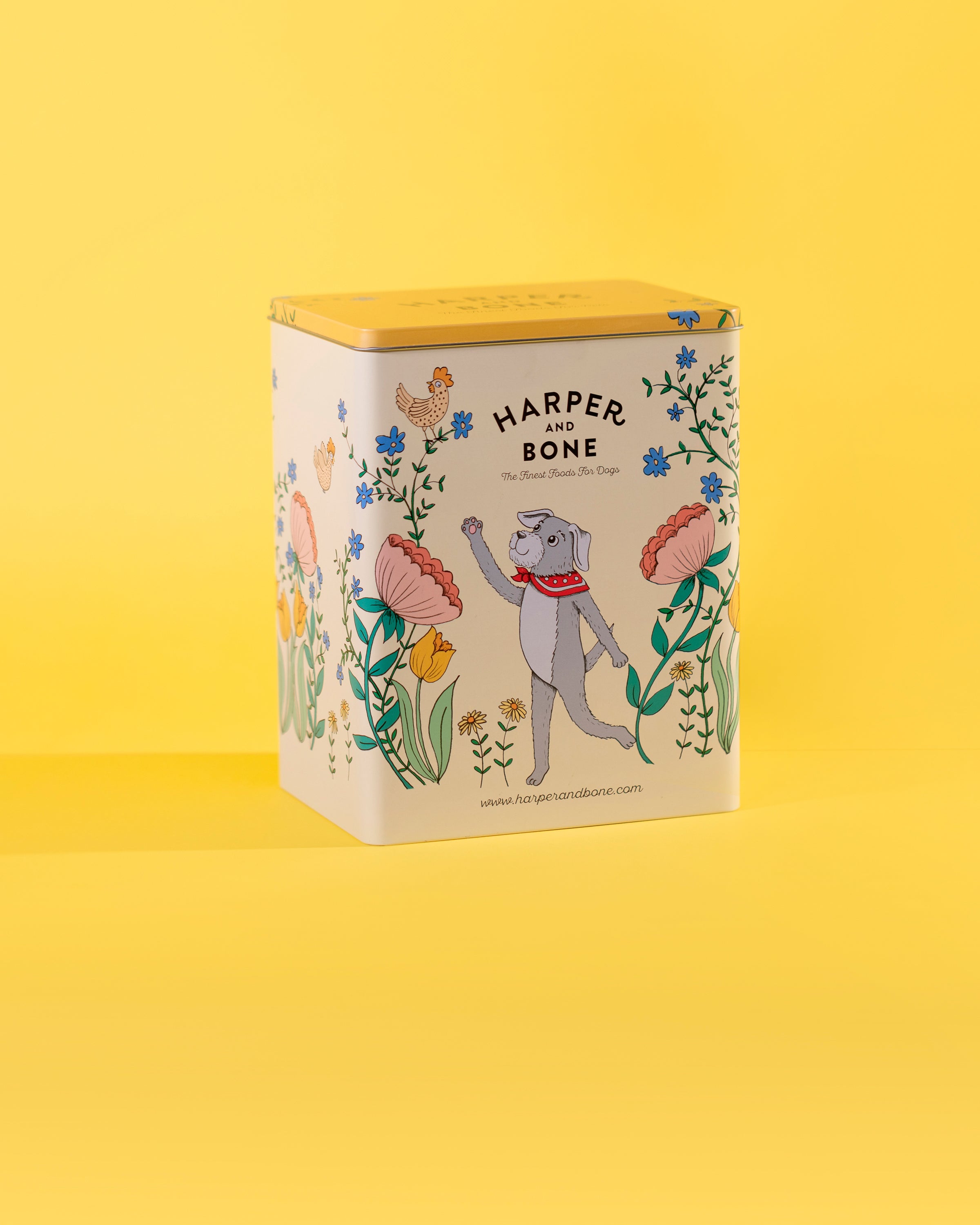 Accessories for Dogs and Cats