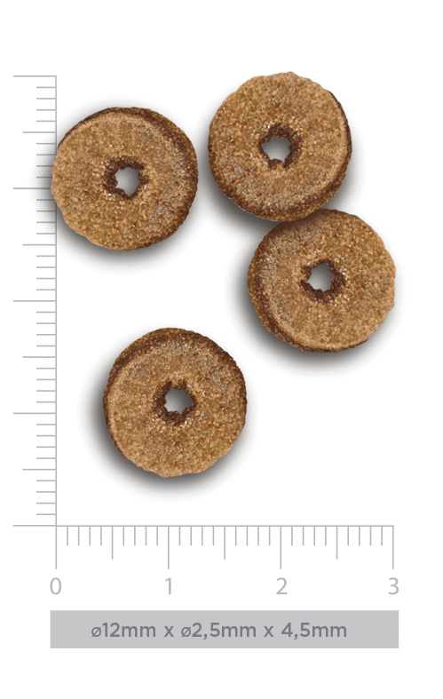 Adult Cat - Exquisite chicken