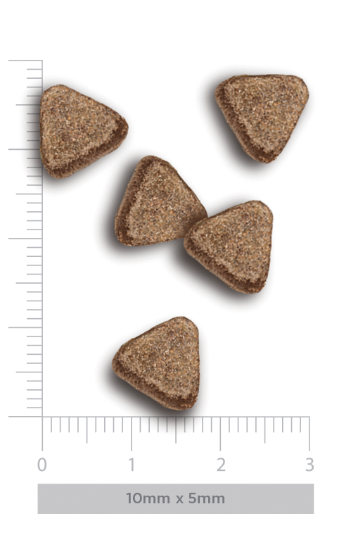 Sterilised - Flavours of the farm