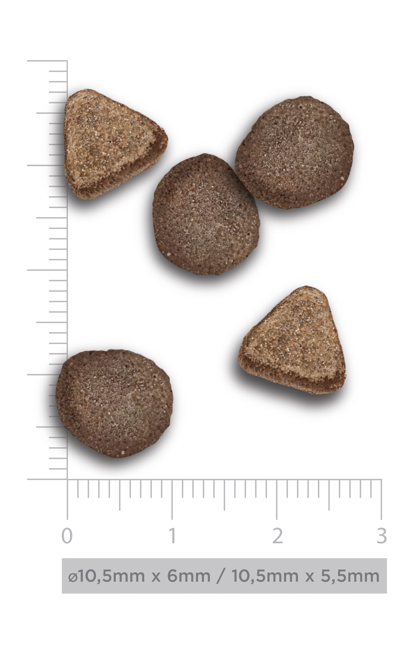 Adult Cat - Delicious lamb