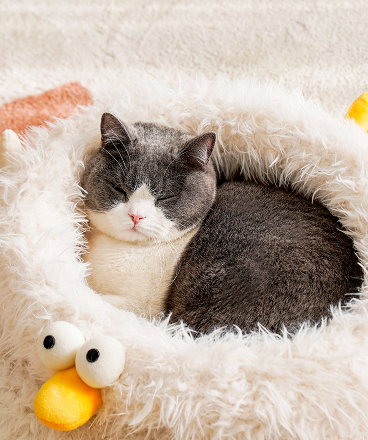 Chicken Mat