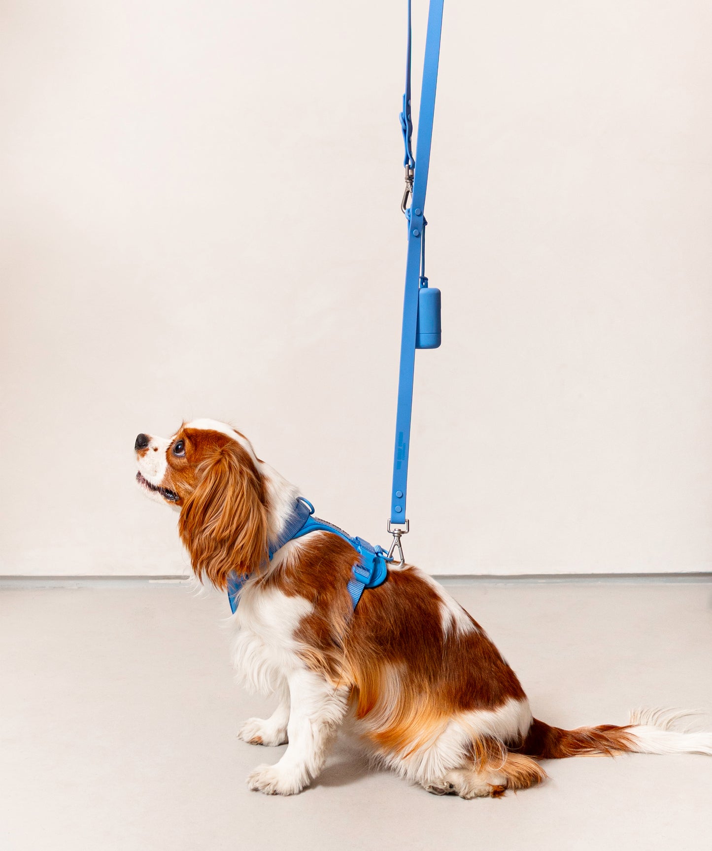 Smart Dog Leash