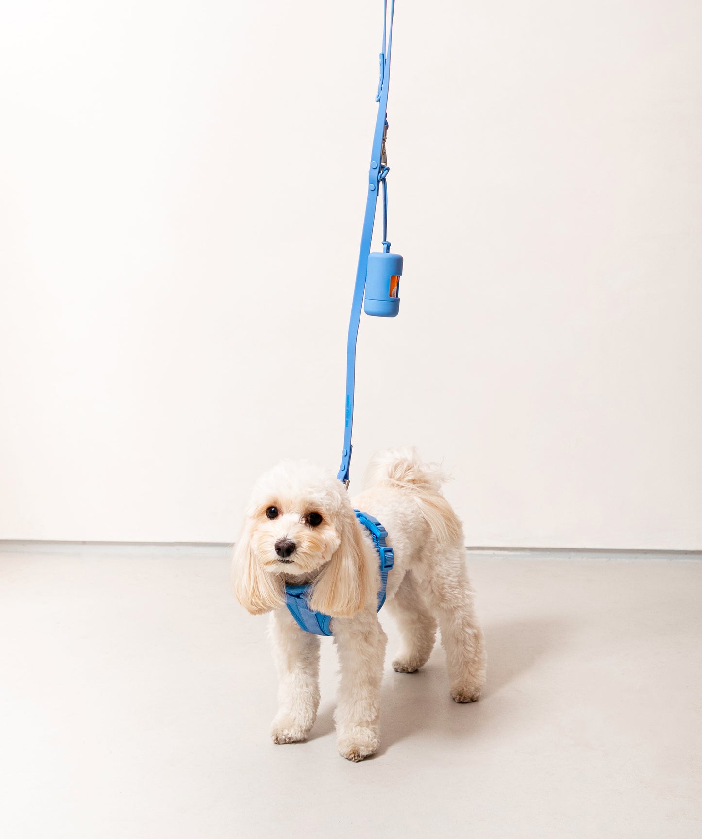 Smart Dog Leash