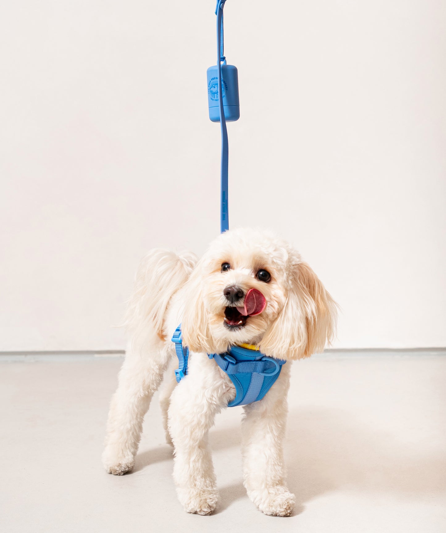Smart Dog Leash