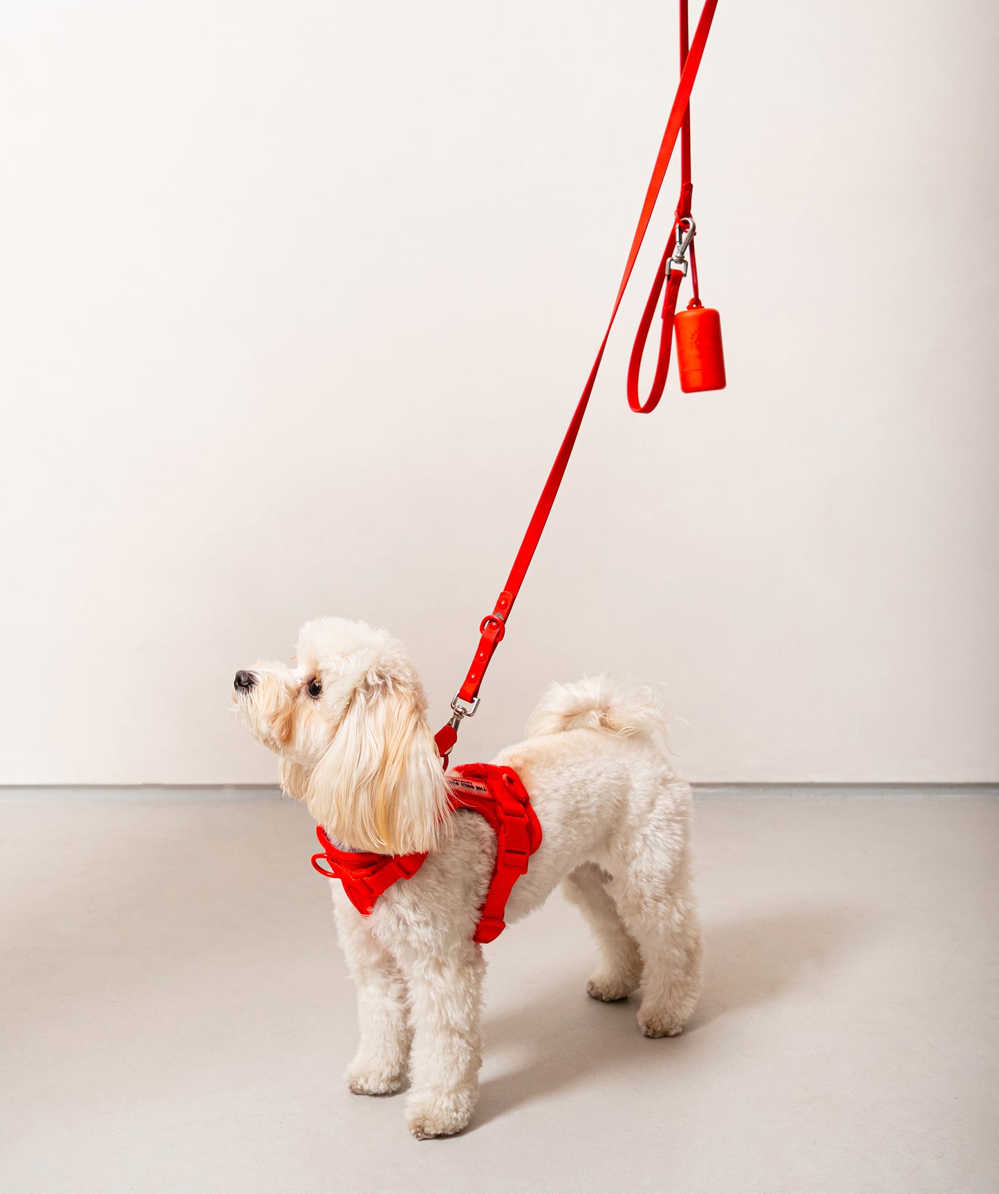 Smart Dog Leash