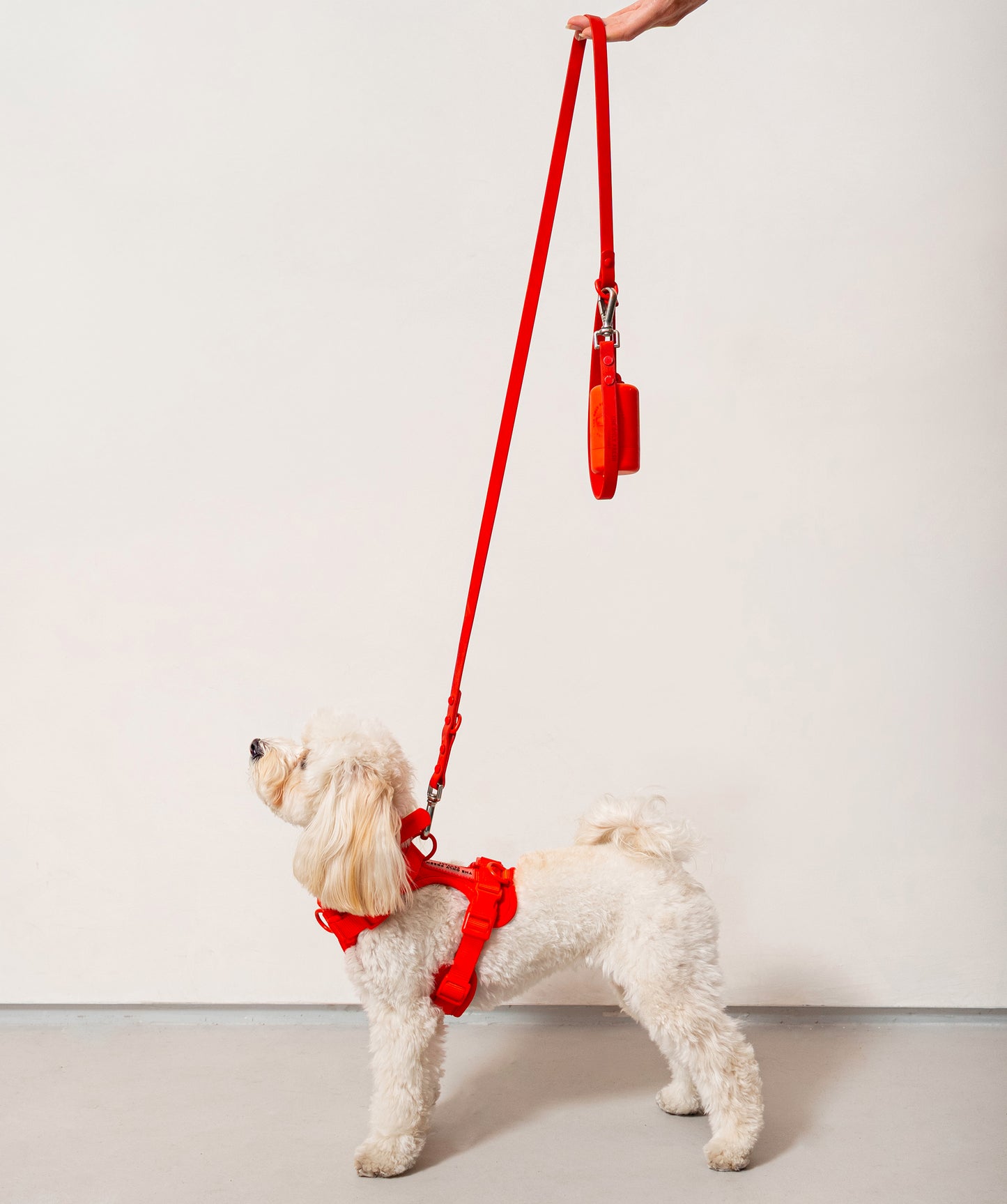 Smart Dog Leash