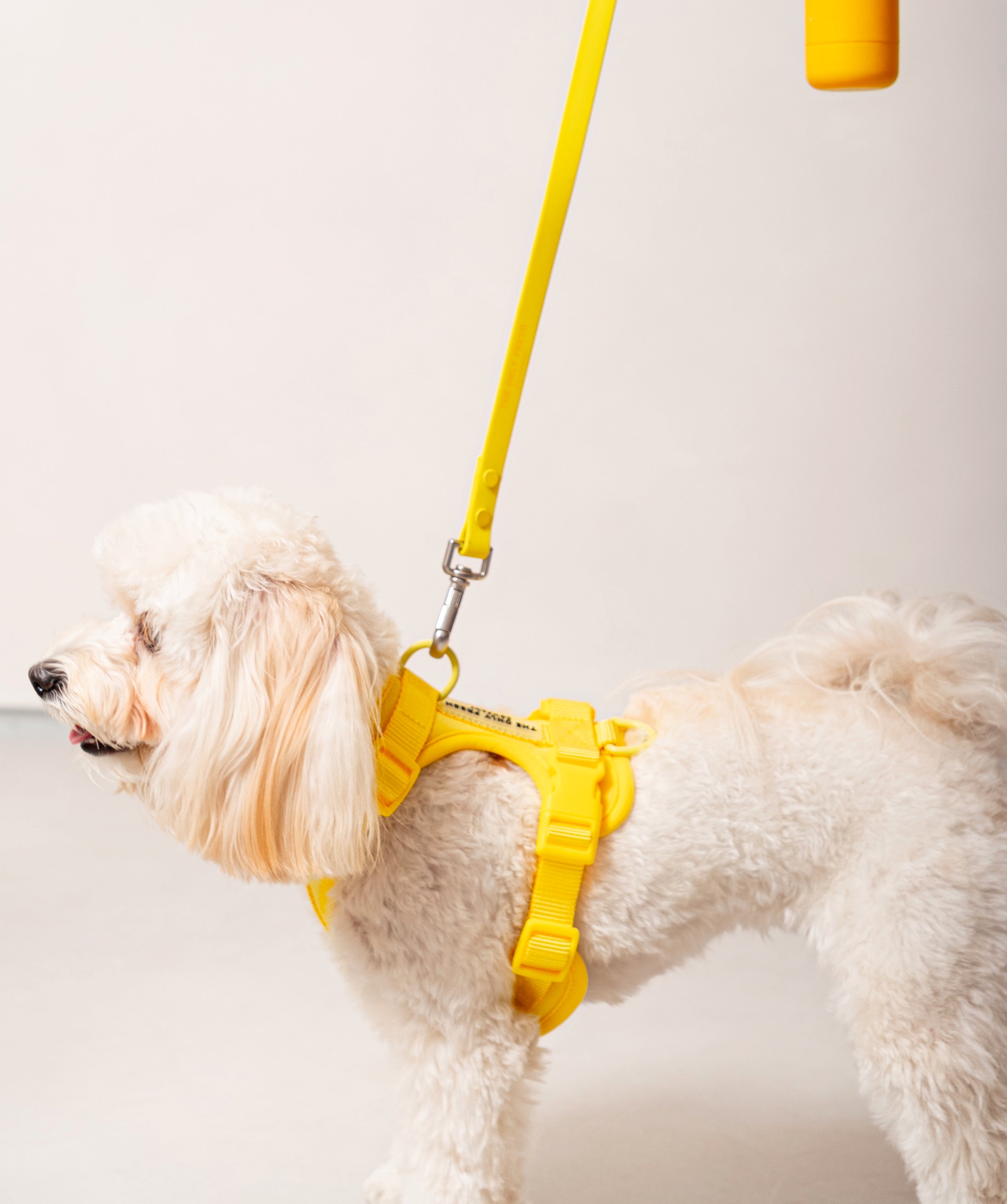 Smart Dog Leash