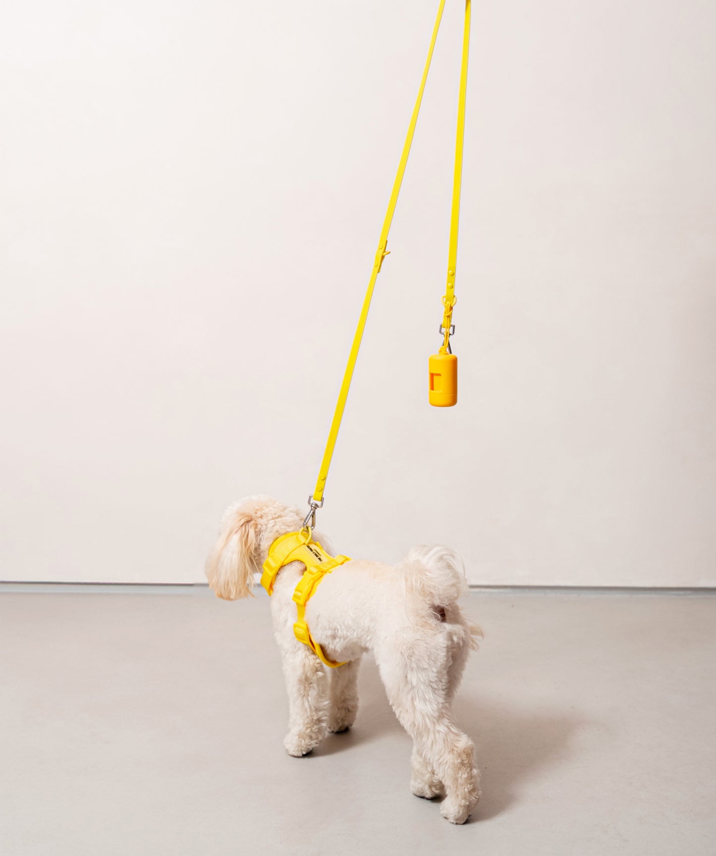 Smart Dog Leash
