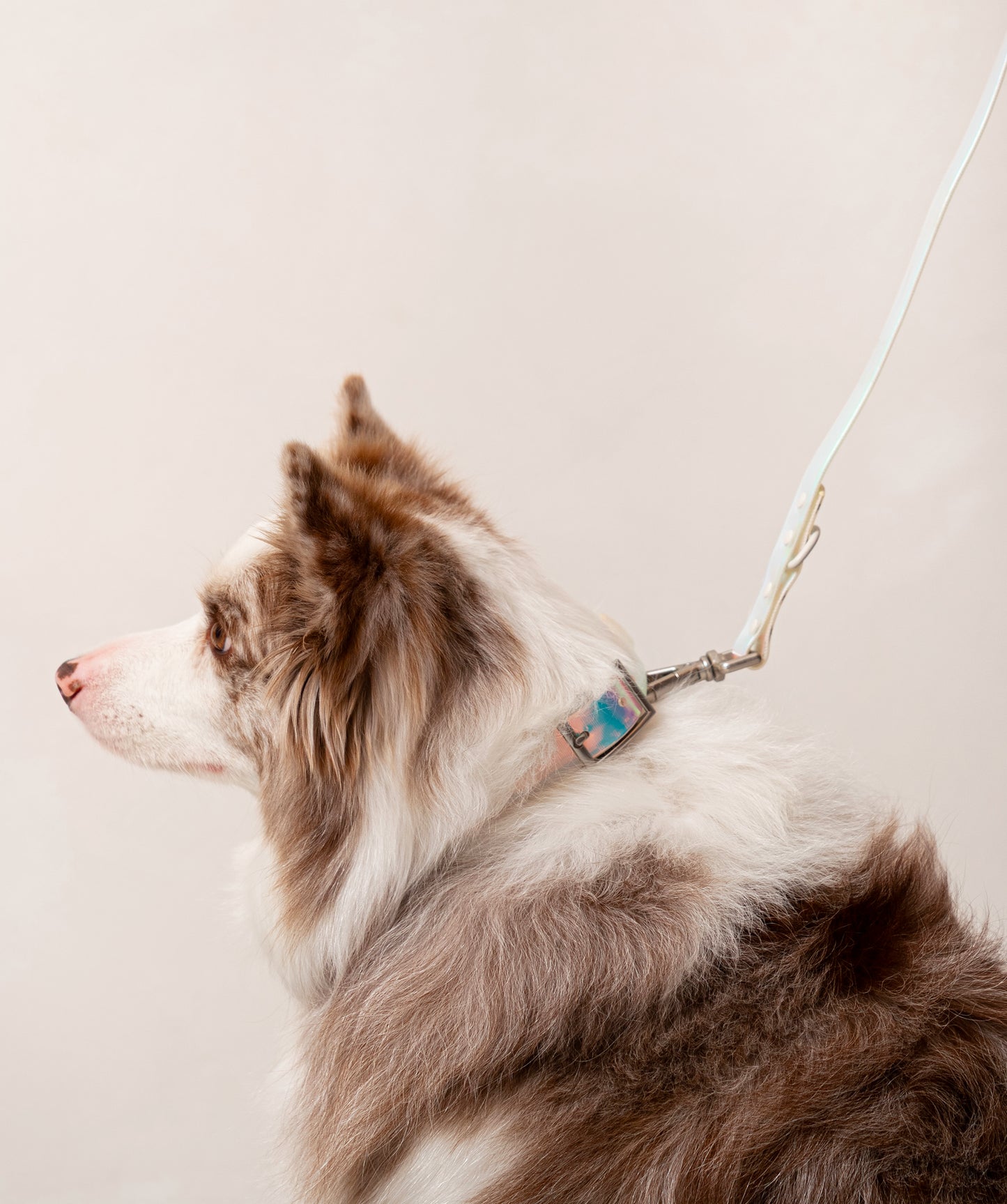 Smart Dog Leash