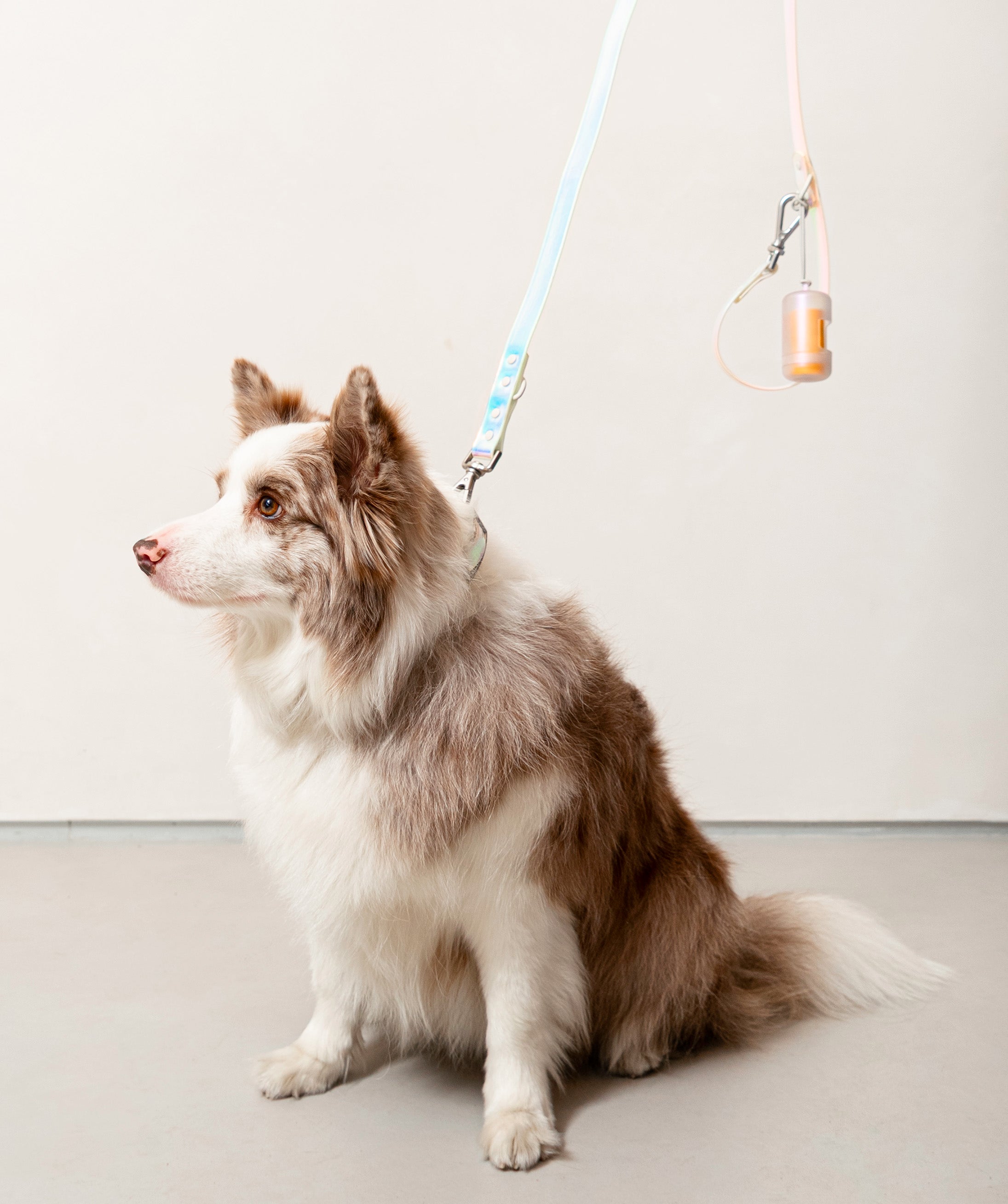 Smart Dog Leash