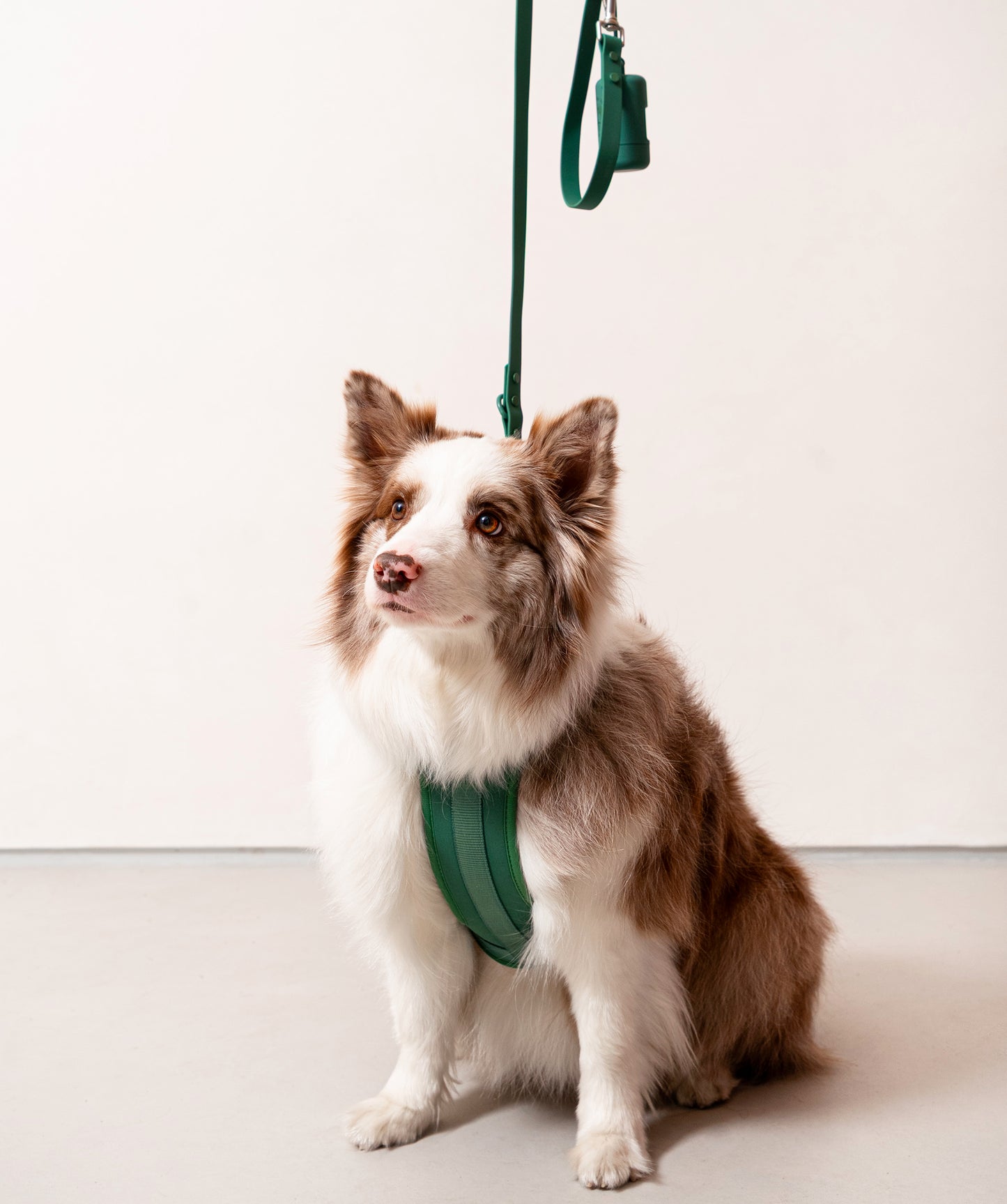 Smart Dog Leash
