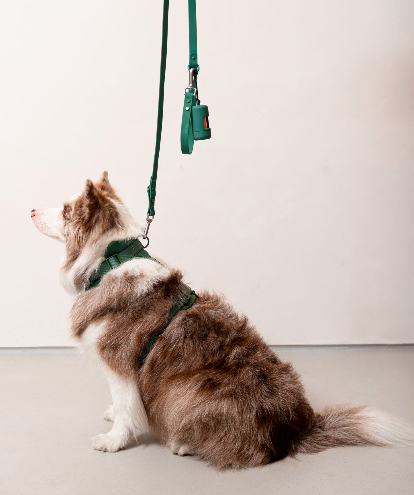 Smart Dog Leash
