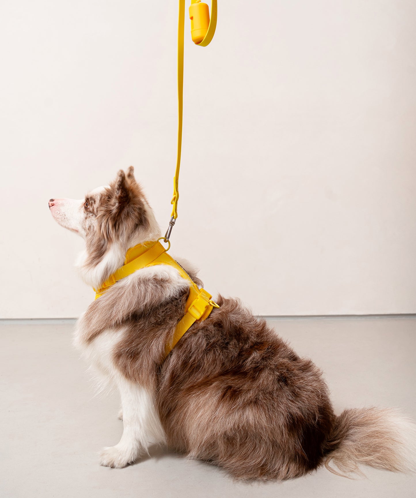 Smart Dog Leash