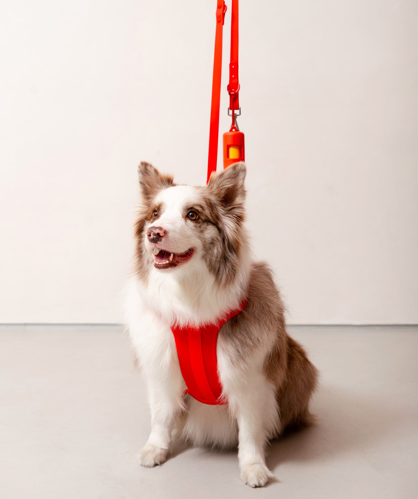 Smart Dog Leash