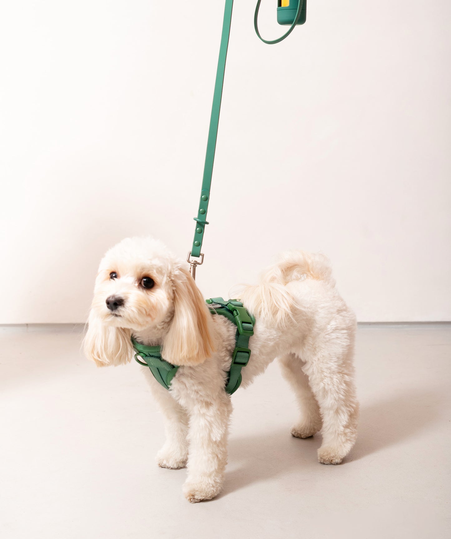 Smart Dog Leash