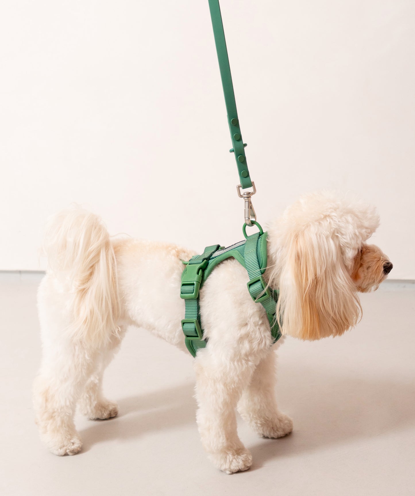 Smart Dog Leash