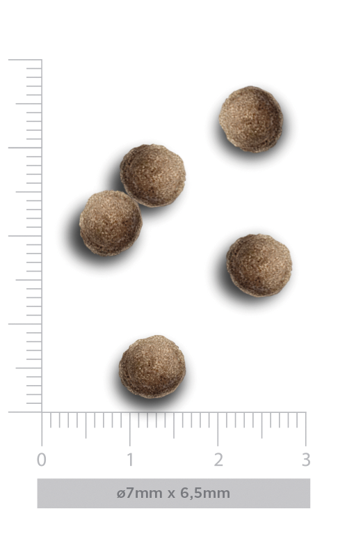 Puppy Mini - Exquisite chicken