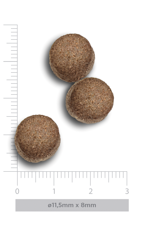 Puppy large - Exquisite Chicken