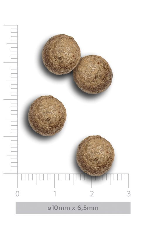 Adult mini - Flavours of the farm