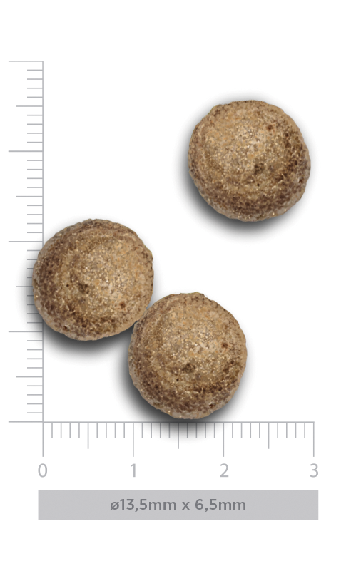 Adult medium - Exquisite Chicken