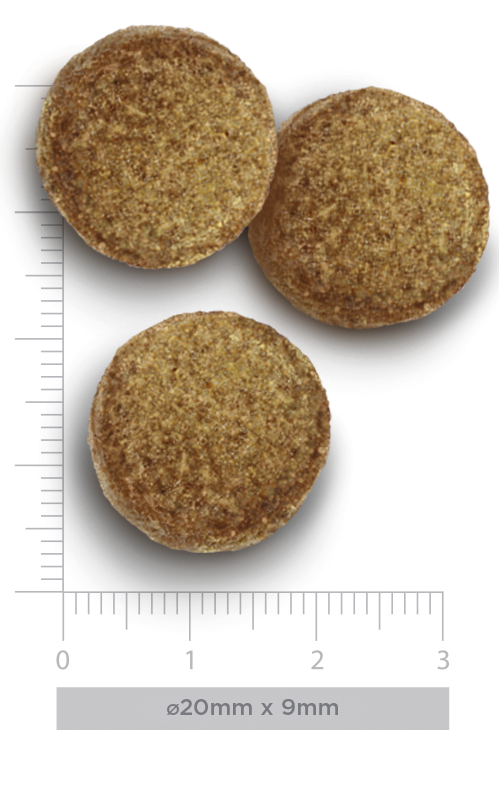 Adult large - Exquisite Chicken