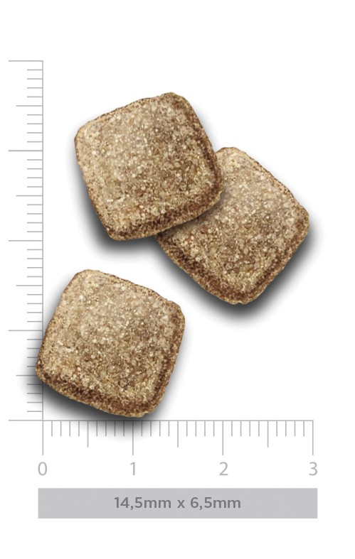 Senior dog - Flavours of the Farm