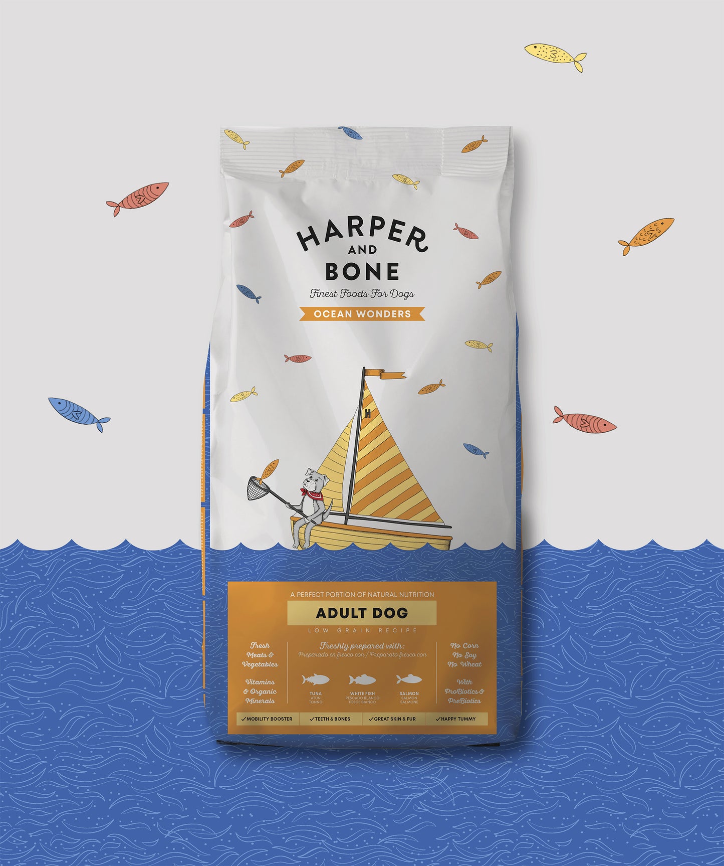 Adult - Ocean wonders