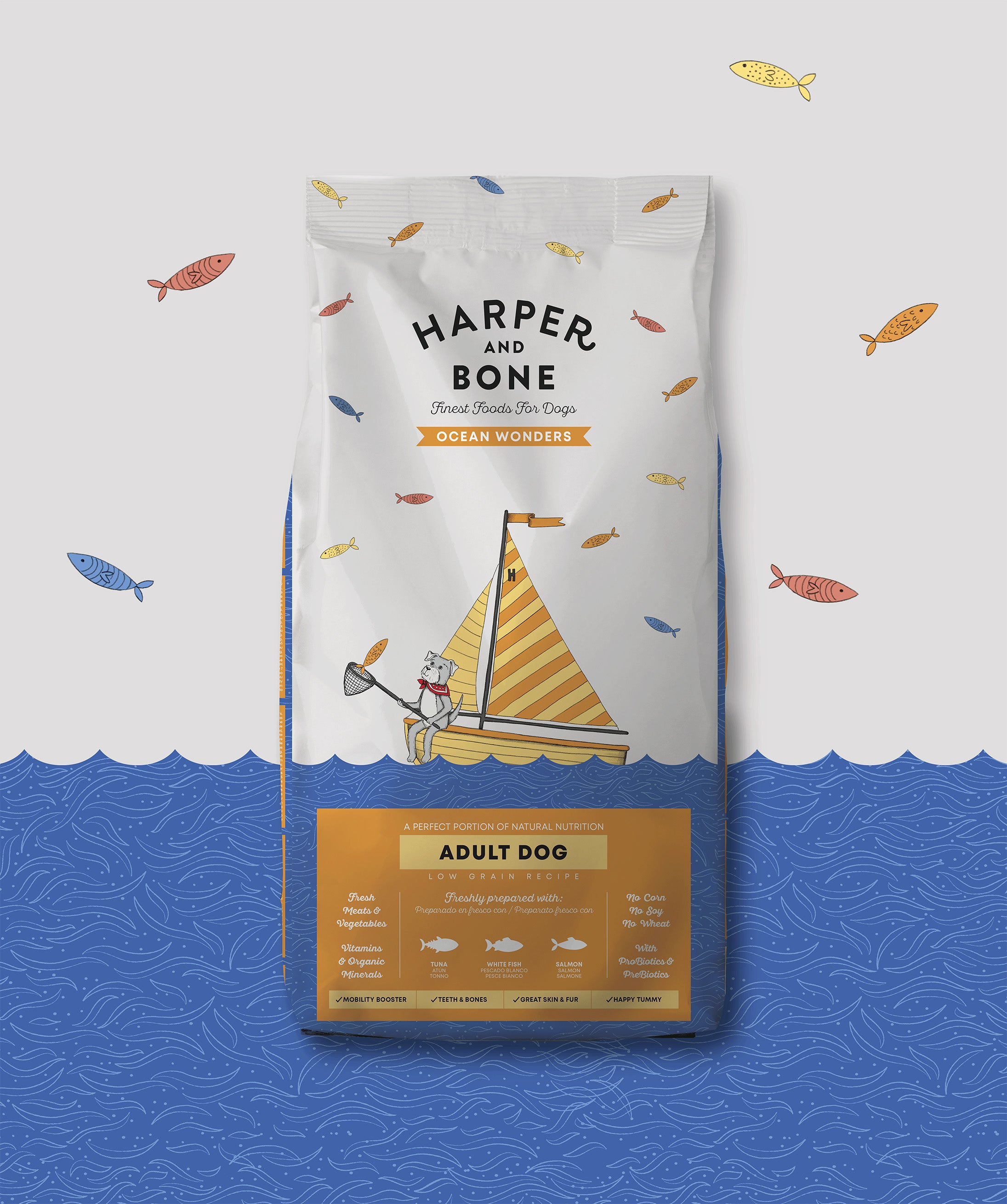 Adult dog - Ocean wonders