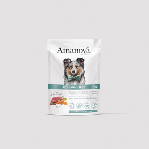 P02 Adult Dog