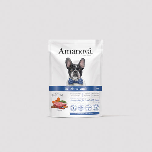 P15 Adult Dog