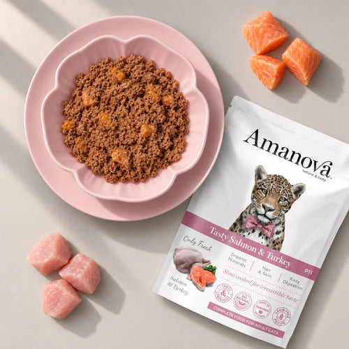 P11 Adult Cat Salmon&Turkey