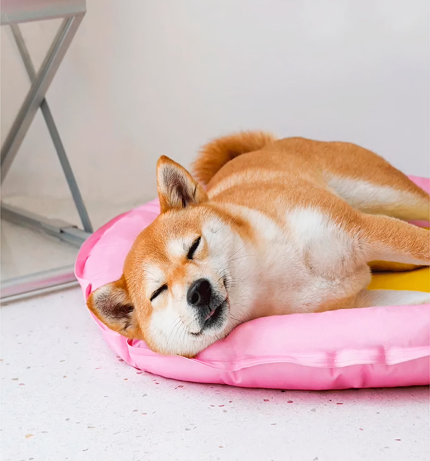 Lemon cooling
