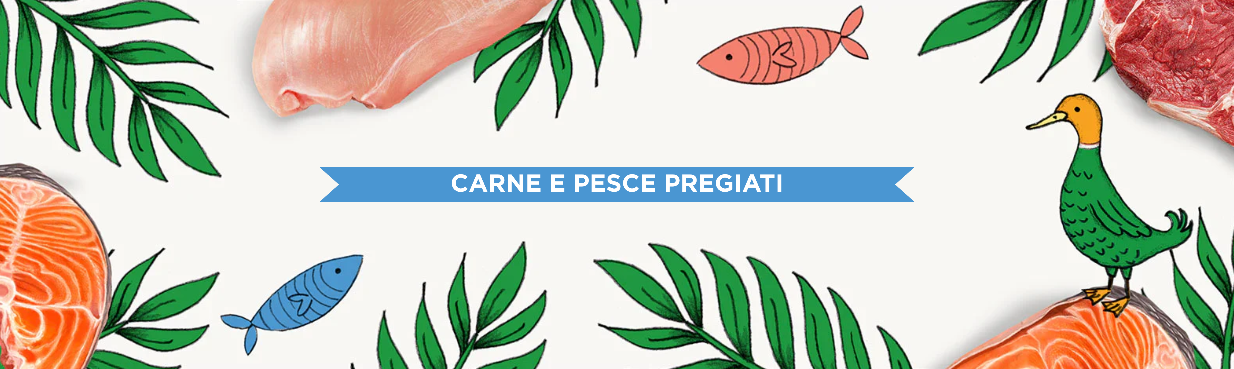 image-banner