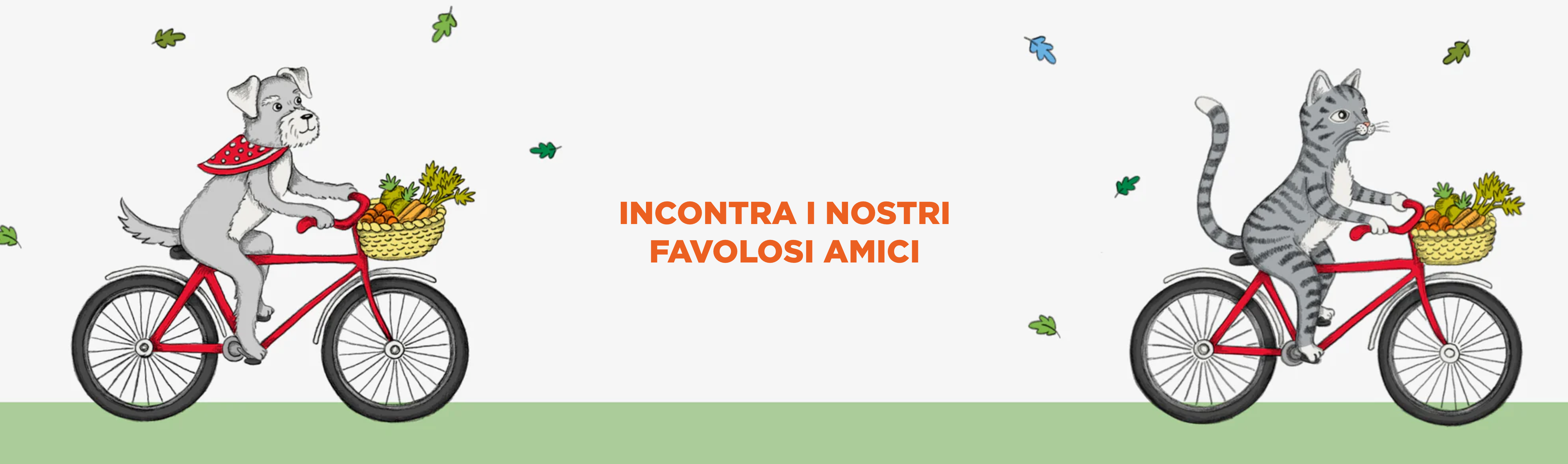 image-banner