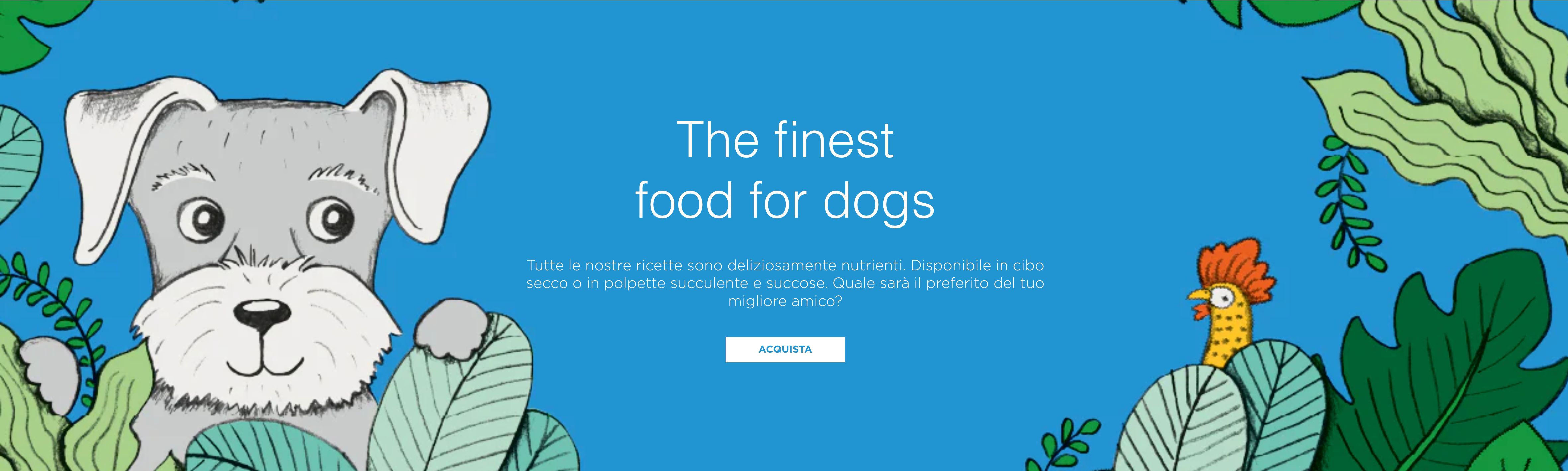 image-banner