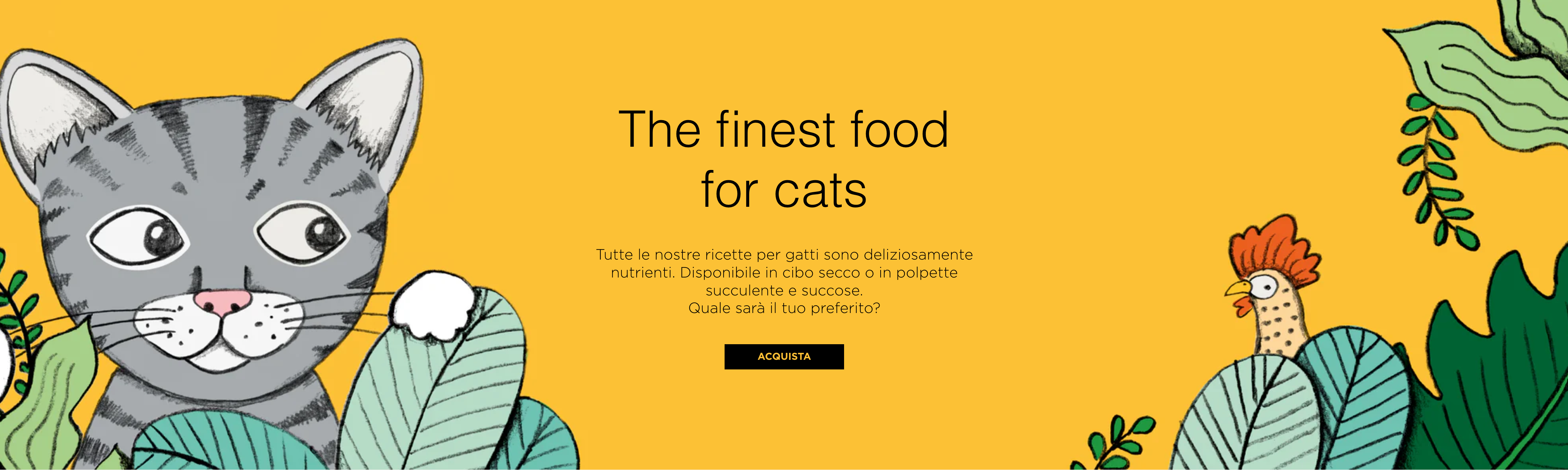 image-banner